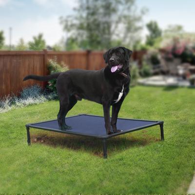 Show full view: Veehoo Chew-Proof Rustless Aluminum Frame Elevated Dog Bed, Blue, Large slide 8 of 11