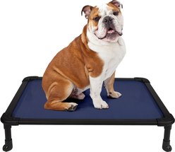 Veehoo Chew-Proof Rustless Aluminum Frame Elevated Dog Bed, Blue, Medium