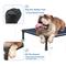 Show in main carousel: Veehoo Chew-Proof Rustless Aluminum Frame Elevated Dog Bed, Blue, Medium slide 4 of 11