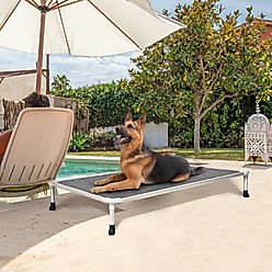Veehoo Chew-Proof Silver Aluminum Frame Elevated Dog Bed, Black Silver, Large slide 2 of 9