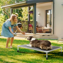 Veehoo Chew-Proof Silver Aluminum Frame Elevated Dog Bed, Black Silver, X-Large slide 2 of 9