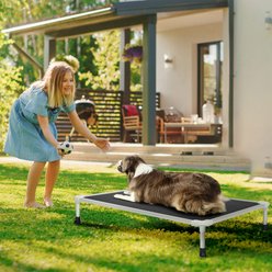 Veehoo Chew-Proof Silver Aluminum Frame Elevated Dog Bed, Black, X-Large slide 2 of 9