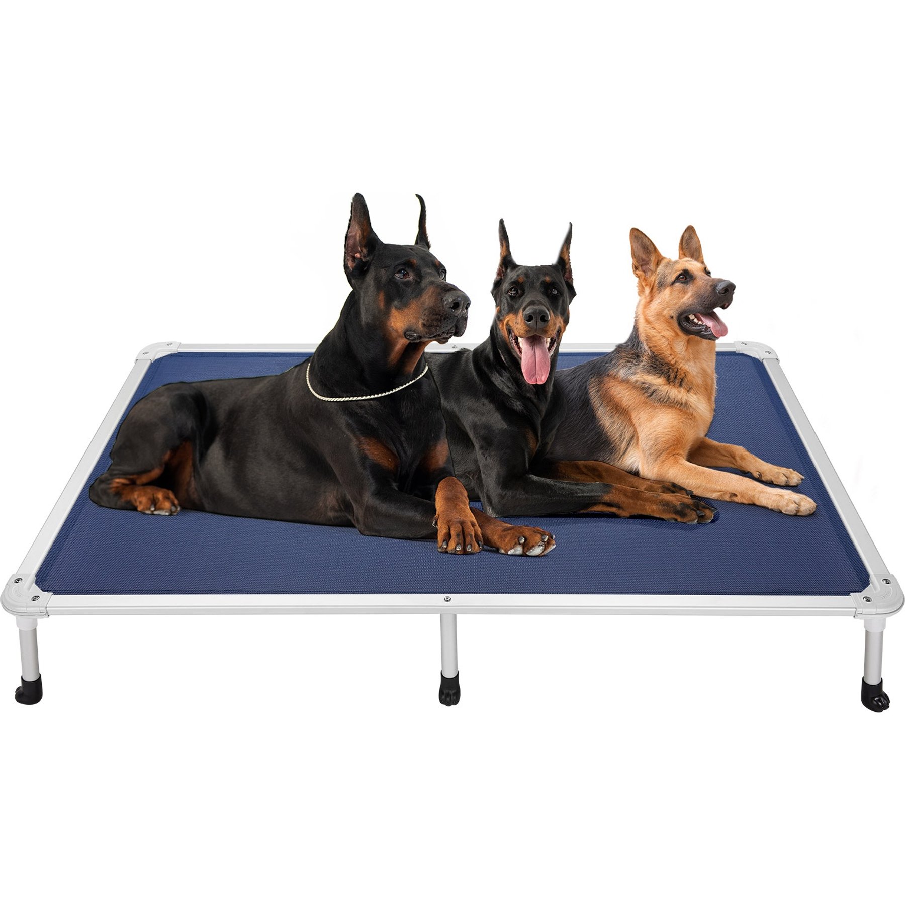 Veehoo Chew-Proof Silver Aluminum Frame Elevated Dog Bed, Blue, XX-Large
