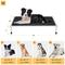Show in main carousel: Veehoo Chew-Proof Silver Metal Frame Elevated Dog Bed, Black, Medium slide 8 of 10