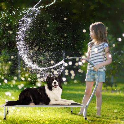 Show full view: Veehoo Chew-Proof Silver Metal Frame Elevated Dog Bed, Black, Medium slide 7 of 10