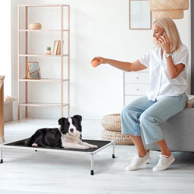 Show full view: Veehoo Chew-Proof Silver Metal Frame Elevated Dog Bed, Black, Medium slide 5 of 10