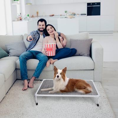 Show full view: Veehoo Chew-Proof Silver Metal Frame Elevated Dog Bed, Black Silver, Medium slide 7 of 10