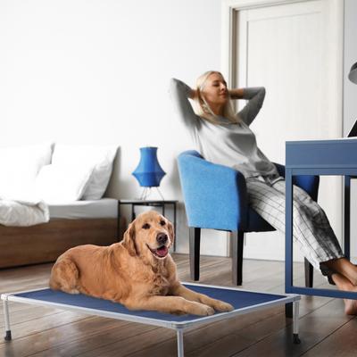 Show full view: Veehoo Chew-Proof Silver Metal Frame Elevated Dog Bed, Blue, Large slide 6 of 10