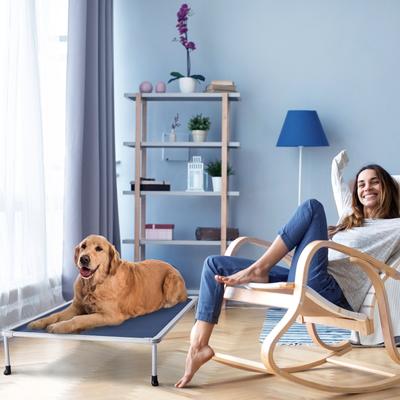 Show full view: Veehoo Chew-Proof Silver Metal Frame Elevated Dog Bed, Blue, Large slide 5 of 10