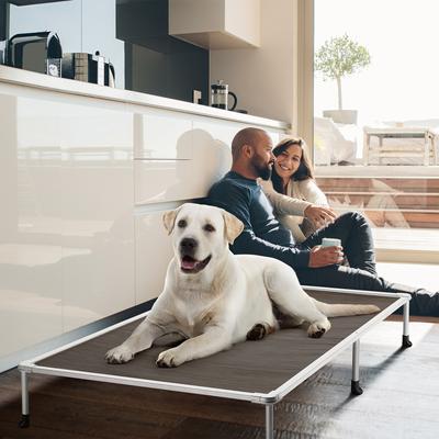 Show full view: Veehoo Chew-Proof Silver Metal Frame Elevated Dog Bed, Brown, XX-Large slide 7 of 10
