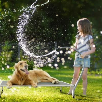 Show full view: Veehoo Chew-Proof Silver Metal Frame Elevated Dog Bed, Sky Grey, Large slide 8 of 10