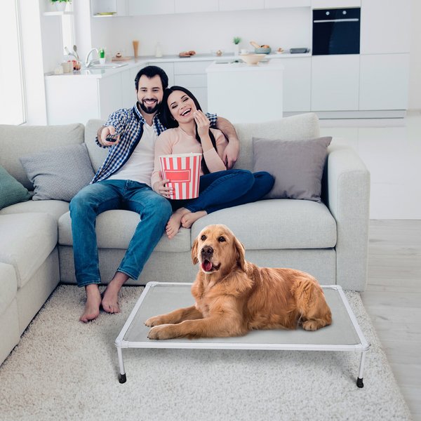 Veehoo Chew-Proof Silver Metal Frame Elevated Dog Bed