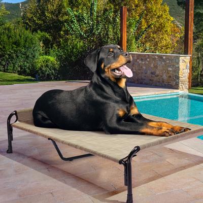 Show full view: Veehoo Outdoor Elevated Dog Bed, Beige Coffee, XX-Large slide 7 of 11
