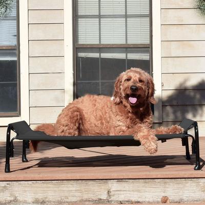 Show full view: Veehoo Outdoor Elevated Dog Bed, Black, Medium slide 7 of 11
