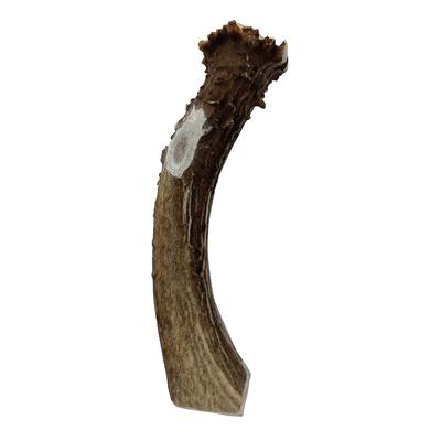Show full view: Venison Joe's Deer Antler Dog Treat, Large slide 4 of 4