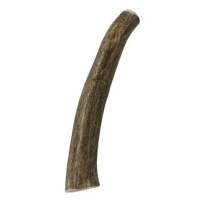 Show full view: Venison Joe's Deer Antler Dog Treat, Medium slide 4 of 4