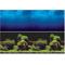 Show in main carousel: Vepotek Double-Sided Fish Aquarium Background, Deep Sea & Water Plants, Small slide 1 of 5