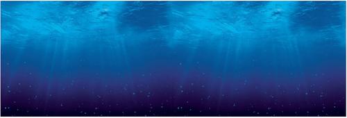 Show full view: Vepotek Double-Sided Fish Aquarium Background, Deep Sea & Water Plants, Small slide 2 of 5