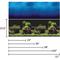 Show in main carousel: Vepotek Double-Sided Fish Aquarium Background, Deep Sea & Water Plants, Small slide 4 of 5