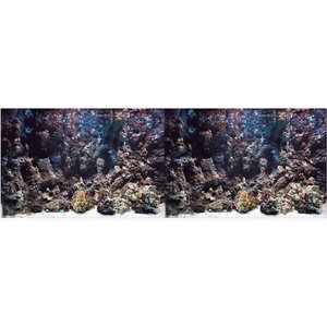 Vepotek Double-Sided Fish Aquarium Background, Deep Seabed & Coral Rock, Medium