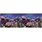 Show in main carousel: Vepotek Double-Sided Fish Aquarium Background, Ocean Seabed & Coral Reef, Small slide 2 of 5