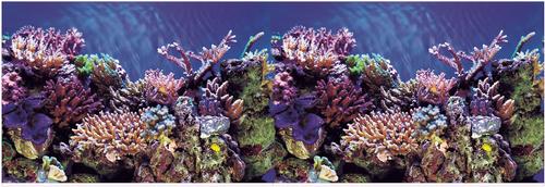 Show full view: Vepotek Double-Sided Fish Aquarium Background, Ocean Seabed & Coral Reef, Small slide 2 of 5