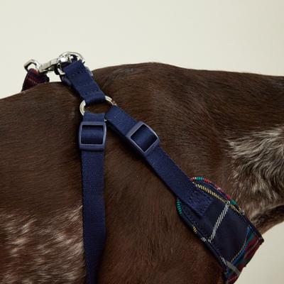 Show full view: Vera Bradley Cat & Dog Harness, Tartan Plaid, Medium slide 5 of 6