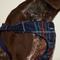 Show in main carousel: Vera Bradley Cat & Dog Harness, Tartan Plaid, Medium slide 6 of 6
