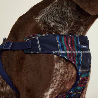 Show full view: Vera Bradley Cat & Dog Harness, Tartan Plaid, Medium slide 6 of 6