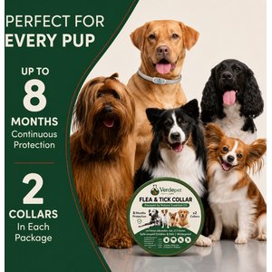 Verdepet Labs All Natural Flea & Tick Collar for Dogs