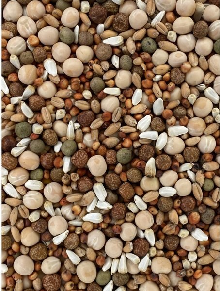 Versele-Laga Classic Pigeon Food Blends 15% No Corn Pigeon Food