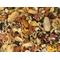 Show in main carousel: Versele-Laga Goldenfeast Paradise Treat Mix Parrot & Macaw Bird Treats, 3-lb bag slide 2 of 5