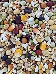 Versele-Laga Plus I.C+ Black Label Champion Pigeon Food, 40-lb bag slide 2 of 4