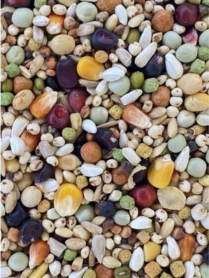 Show full view: Versele-Laga Plus I.C+ Black Label Champion Pigeon Food, 40-lb bag slide 2 of 5