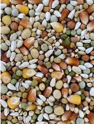 Show full view: Versele-Laga Plus I.C+ Champion Pigeon Food, 40-lb bag slide 3 of 6