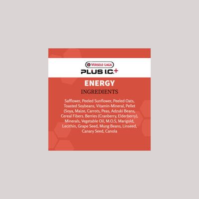 Show full view: Versele-Laga Plus I.C+ Energy Pigeon Food, 40-lb bag slide 4 of 6