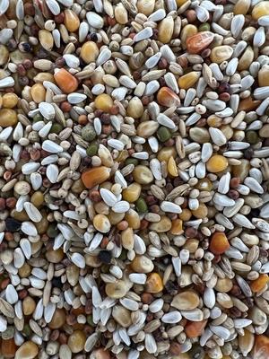 Show full view: Versele-Laga Plus I.C.+ Gerry Pigeon Food, 40-lb bag slide 3 of 6