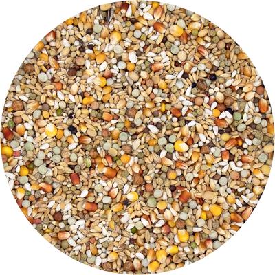 Show full view: Versele-Laga Plus I.C.+ Junior Bird Food, 40-lb bag slide 2 of 4