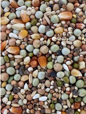 Show full view: Versele-Laga Traditional MM Jr + Corn Pigeon Food, 40-lb bag slide 3 of 6