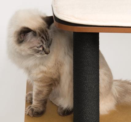 Show full view: Vesper High Base 47.8-in Modern Cat Tree & Condo, Black slide 3 of 6