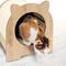 Show in main carousel: Vesper Minou 15.94-in Modern Cat Scratcher with Toy, Oak slide 5 of 6