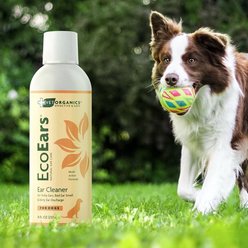 Vet Organics EcoEars Dog Ear Cleaner, 8-fl oz bottle slide 2 of 6