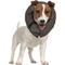 Show in main carousel: Vet Worthy Inflatable Protective Dog Collar, X-Large slide 1 of 5