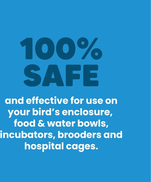 Show full view: Vetafarm Avicare Concentrate Bird Cleaner, 3.4-oz jar slide 5 of 11