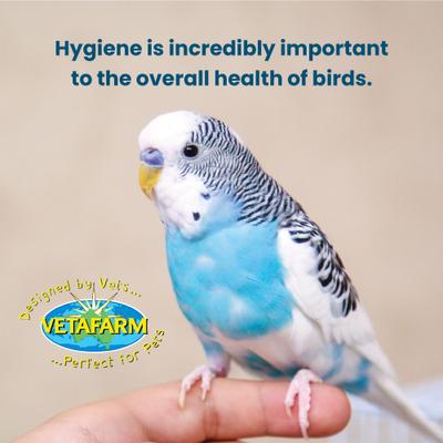 Show full view: Vetafarm Avicare Concentrate Bird Cleaner, 3.4-oz jar slide 6 of 11