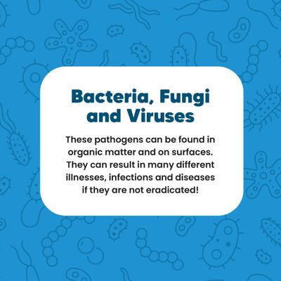 Show full view: Vetafarm Avicare Concentrate Bird Cleaner, 3.4-oz jar slide 7 of 11