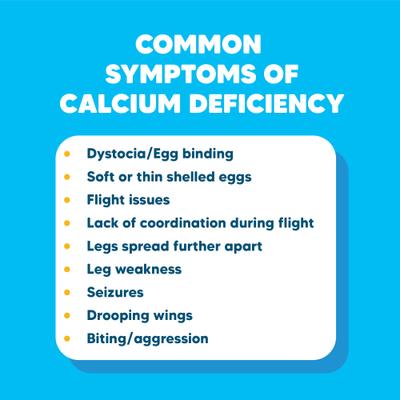 Show full view: Vetafarm Calcivet Bird Liquid Calcium Supplement, 3.4-oz bottle slide 5 of 11