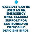 Show in main carousel: Vetafarm Calcivet Bird Liquid Calcium Supplement, 3.4-oz bottle slide 8 of 11