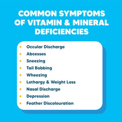 Show full view: Vetafarm D'Nutrical Bird Supplement, 5.3-oz bottle slide 5 of 11