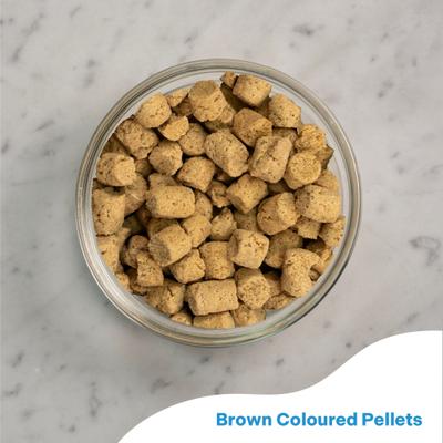 Show full view: Vetafarm Macaw Nuts Bird Food, 4.4-lb bag slide 4 of 11